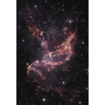 Onko kuva kehon sisä- vai -ulkopuolelta? Ne ovat samannäköisiä.